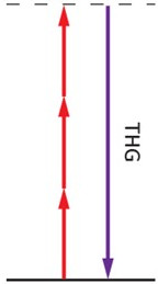 New tutorial on third harmonic generation (THG)